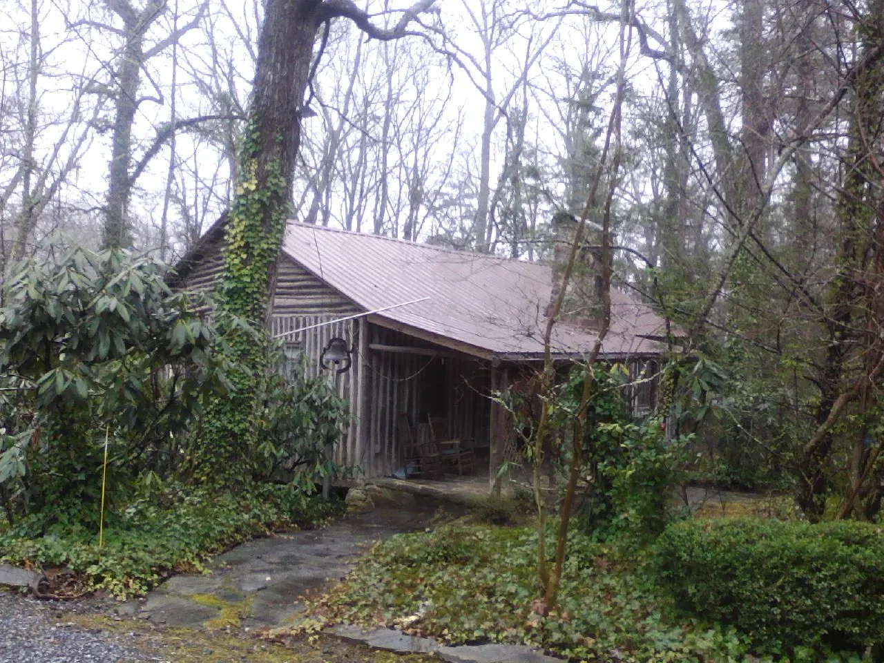 Weathered metal roof on an old board sided cabin in the woods in Bomont
